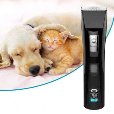 Dog And Cat Shaver Enjoy Pets For Pet Grooming Black Dog Grooming Kit With LCD Display Cordless Dog Hair Clipper