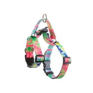 Detailed information about the product Dog Double-Lined Straps Harness Adjustable S SWEET GREEN