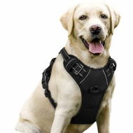 Detailed information about the product Dog Harness No-Pull Pet Harness Adjustable Outdoor Pet Vest 3M Reflective Oxford Material Vest for Dogs Easy Control for Small Medium Large Dogs Black L