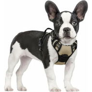 Detailed information about the product Dog Harness No-Pull Pet Harness Adjustable Outdoor Pet Vest 3M Reflective Oxford Material Vest for Dogs Easy Control for Small Medium Large Dogs Black S