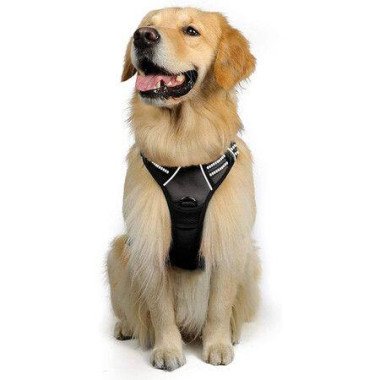 Dog HarnessNo-Pull Pet Harness With 2 Leash ClipsAdjustable Soft Padded Dog VestReflective Outdoor Pet Oxford Vest With Easy Control HandleX-Large SizeBlack