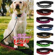 Detailed information about the product Dog LED Leash Pet Supplies