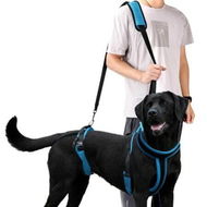Detailed information about the product Dog Lifting Harness,Adjustable Shoulder Hip Harness with Handle and Shoulder Strap, Support Hind Legs for Elderly Dogs, Hip Dysplasia-Size M
