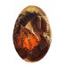 Dragon Eggs Clear Dragon Egg Resin Sculpture Handmade Fire Pocket Dragon Souvenir(Only Dragon Eggs ). Available at Crazy Sales for $29.95