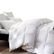 Detailed information about the product DreamZ 500GSM All Season Goose Down Feather Filling Duvet In Double Size