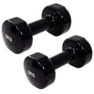 Detailed information about the product Dumbbell 2 Pcs 10 Kg Cast Iron Black