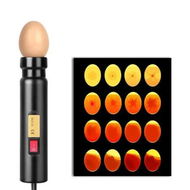 Detailed information about the product Egg Candler, LED Egg Hatching Test Light, High Intensity LED Chicken Egg Candler Mini Egg Tester Pen for Science Experiment