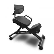 Detailed information about the product EKKIO Adjustable Ergonomic Office Kneeling Chair with Backrest (Black) EK-KC-101-TH