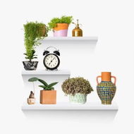 Detailed information about the product Ekkio Floating Shelf Set of 3 White EK-WS-101-SH