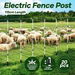 Electric Fence Post 20pcs Tread Step In Wire Temporary Fencing Garden Farm Livestock Cattle Sheep Insulators Poles Pigtail Fibreglass Adjustable Graze. Available at Crazy Sales for $79.90