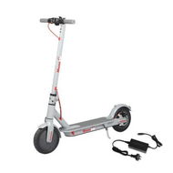 Detailed information about the product Electric Scooter 500W 25KM/H 8.5inch in Grey