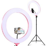 Detailed information about the product Embellir Ring Light 19