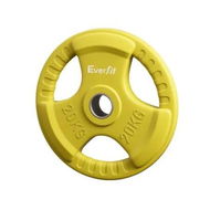 Detailed information about the product Everfit Weight Plates Olympic 20kg Dumbbell Barbell Plate Weight Lifting Home Gym Yellow