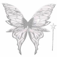 Detailed information about the product Fairy Wings for Women 80x75cm Fairy Costume Set Large Butterfly Wings for Halloween Party,Silver