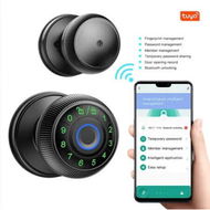 Detailed information about the product Fingerprint Door Lock,Smart Door Knob,Biometric Door Lock,with Keypad App Unlocking Keyless Entry Door Knob For Bedroom,Office Home Color Black