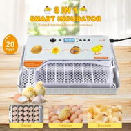 Detailed information about the product Fully Digital Automated 20 Egg Incubator with Hatching, Turning, and Candling Features for Chicken Quail Duck Poultry Bird