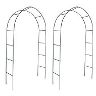 Detailed information about the product Garden Arch 2 Pcs Climbing Plants