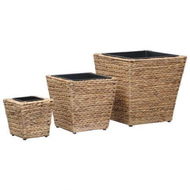 Detailed information about the product Garden Planters 3 Pcs Water Hyacinth