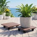 Gardeon 2PC Plant Carts HDPE Plant Caddy With Lockable Wheels Rolling Brown. Available at Crazy Sales for $44.95