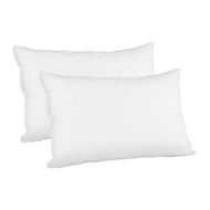 Detailed information about the product Giselle Bedding Goose Feather Down Pillow Luxury Twin Pack