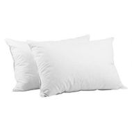 Detailed information about the product Giselle Bedding Goose Feather Down Pillow Twin Pack