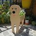 Golden Retriever Flower Pot Dog Succulent Planter Animal Vase For Home Garden Office Desktop Decor. Available at Crazy Sales for $31.99