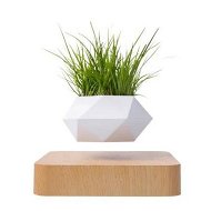 Detailed information about the product GOMINIMO Magnetic Levitating Plant Pot (Light Brown Base) GO-MLP-103-HCNT