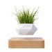 GOMINIMO Magnetic Levitating Plant Pot (Light Brown Base) GO-MLP-103-HCNT. Available at Crazy Sales for $119.95