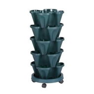 Detailed information about the product Green Fingers Garden Bed 5 Tier Vertical Garden Strawberry Stackable Planters Herbs Petunias