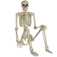 Detailed information about the product Halloween Decorations Realistic 16-Inch Faux Human Skeleton Skull Props for Haunted House Display