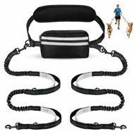 Detailed information about the product Hands Free Dog Leash with Pouch,Double Leash for Two Dogs Retractable Bungee with Double Padded Handles for Dog Walking Running Leash for Dogs,Silver