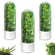 Detailed information about the product Herb Saver Container for Fridge Vegetable Preservation Storage Container for Cilantro,Basil,Asparagus Extends Freshness Up to 2-3 Weeks (3PCS)