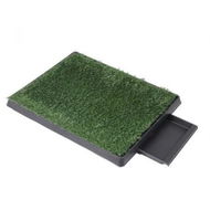 Detailed information about the product Indoor Dog Pet Grass Potty Training