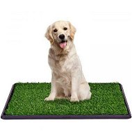 Detailed information about the product Indoor Dog Potty Toilet Grass Tray Pads Training Puppy Medium Mat