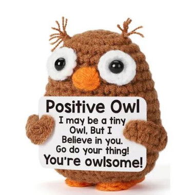Inspirational Emotional Positive Crochet Owl Support Easter Baskets Stuffer Gifts for Kids Daughter Son Teenagers