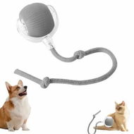 Detailed information about the product Interactive Cat Dog Ball, 360 Degree Automatic Rotating Ball with USB Charging for Cats and Dogs Color Grey