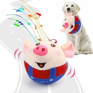 Detailed information about the product Interactive Dog Toy Jumping Squeaky Rechargeable Music Modes Moving Chew Pet Puppy Training Exercise Play Red