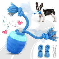 Detailed information about the product Interactive Dog Toys 2026 Upgraded Motion Activated Balls,Automatic Moving Dogs Toy Wicked Ball for Boredom,Interactive Dog Ball to Keep Them Busy (Blue)