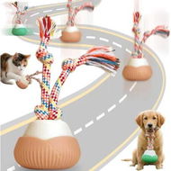 Detailed information about the product Interactive Dog Toys, Automatic Moving Interactive Cat Toy with 3 Speed Modes, USB Rechargeable Smart Motion Rolling Ball with Tail Rope (Orange)