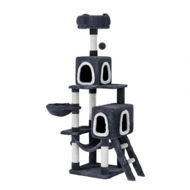 Detailed information about the product i.Pet Cat Tree 168cm Tower Scratching Post Scratcher Condo House Hanging Toy Bed