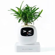 Detailed information about the product Ivy AI Smart Plant Pot with Emoji Intelligent Planter Robot for Houseplants Tamagotchi Flower Pot Stylish Plantagotchi Home Decor (Ivory)