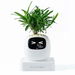 Ivy AI Smart Plant Pot with Emoji Intelligent Planter Robot for Houseplants Tamagotchi Flower Pot Stylish Plantagotchi Home Decor (Ivory). Available at Crazy Sales for $119.99