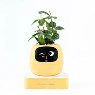 Detailed information about the product Ivy AI Smart Plant Pot with Emoji Intelligent Planter Robot for Houseplants Tamagotchi Flower Pot Stylish Plantagotchi Home Decor (Yellow)