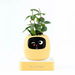 Ivy AI Smart Plant Pot with Emoji Intelligent Planter Robot for Houseplants Tamagotchi Flower Pot Stylish Plantagotchi Home Decor (Yellow). Available at Crazy Sales for $119.99