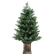 Detailed information about the product Jingle Jollys Christmas Tree 1.2M LED Potted Xmas Tree Party Decor 8 Light Modes