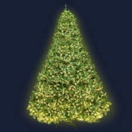 Detailed information about the product Jingle Jollys Christmas Tree 2.4M Xmas Tree Decorations 3190 LEDs 8 Light Mode