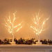 Jingle Jollys Lighted Branch Tree Christmas Decorations Warm White Christmas Lights 2 Pack 60cm. Available at Crazy Sales for $34.95