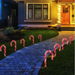 LED Candy Canes Path Lights 20pk. Available at Crazy Sales for $79.95