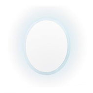 Detailed information about the product LED Wall Mirror Round Anti-Fog Bathroom 50cm