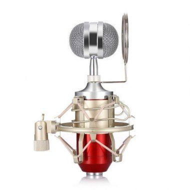 LEIHAO BM - 8000 Professional Condenser Microphone